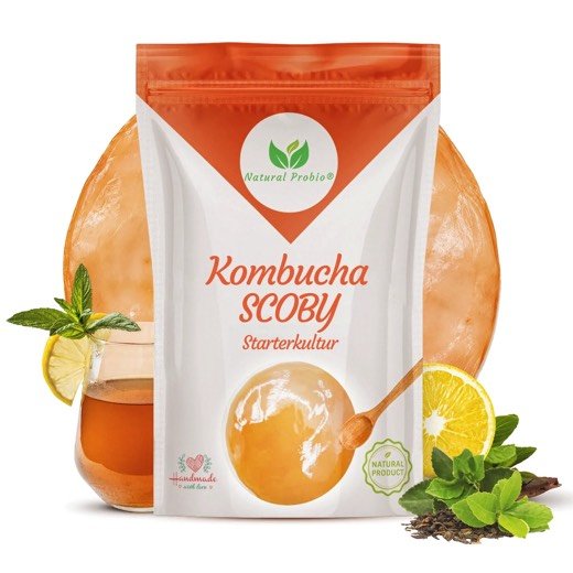 Kombucha-Pilz von Natural Probio